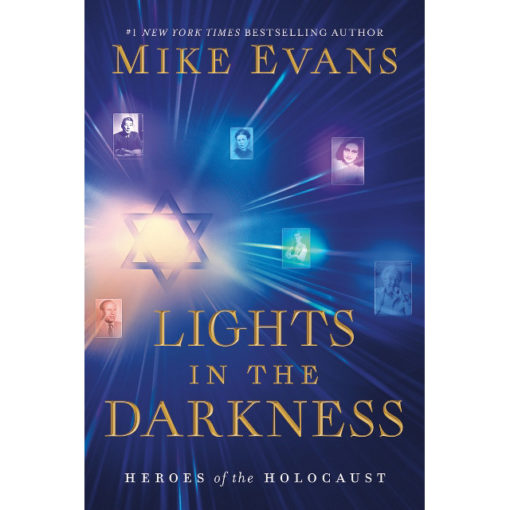 Lights in the Darkness Paperback