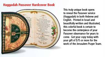 Haggadah Passover Book