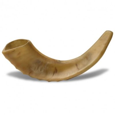 Rams Horn Shofar